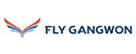 Fly Gangwon